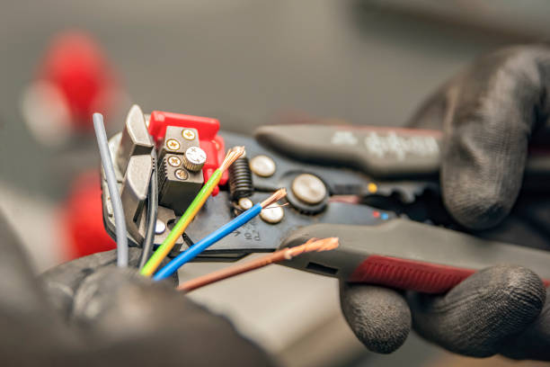 Best Electrical System Inspection  in Encinal, TX